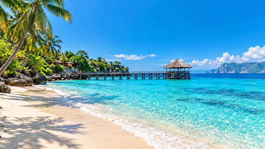 The same travel photo after SUMMER IN BALI is removed, with the sky and palm leaves filled in around the headline